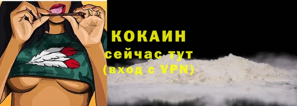 СК Инсар