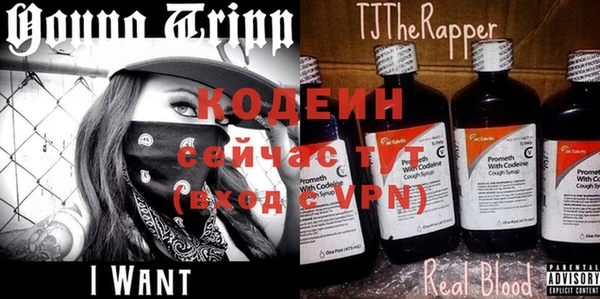спиды Иннополис
