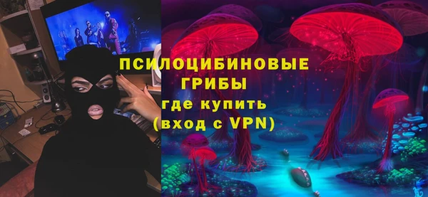 СК Инсар