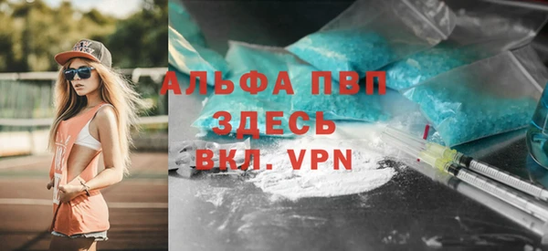 спиды Иннополис