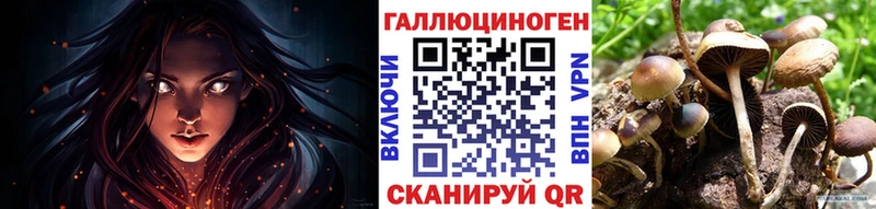 купить наркотик Касли ссылка на мегу Галлюциногенные грибы мицелий